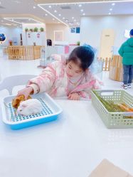 -Moni星球萌宠·小马宝莉·灵蛇·高端高阶全萌宠互动体验俱乐部(红豆国际广场店)