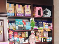 -宠爱国际动物医院·疑难骨科·心肾内科·皮肤科(太阳宫店)