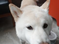 -微焙咖啡工厂(海峡创意产业园·红坊店)