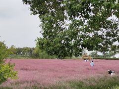 -嘉北郊野公园