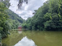 -黔灵山公园