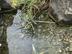 -三山岛