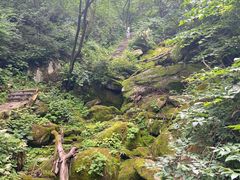 -西安祥峪森林公园