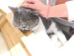 -小时光咖啡馆(开森度假森林店)