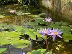 -国家植物园南园