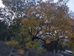 -千佛山风景名胜区
