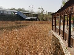 -北京鹿世界主题园