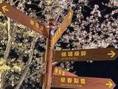 -长田漾湿地公园