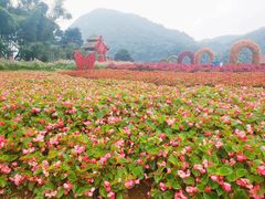 -广州市石门国家森林公园