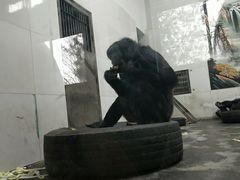 -西安秦岭野生动物园