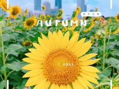 -二沙岛艺术公园