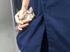 -拜鲁耶动物诊疗中心·宠家动物医院