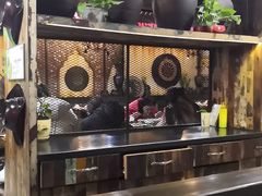 -塔里木新疆饭店(新北万达店)