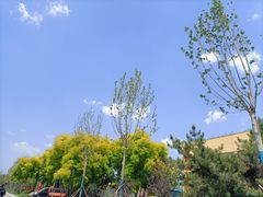 -山东理工大学