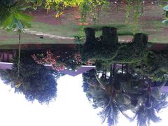 椰树岛海滩度假村-椰树岛海滩度假村