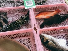 -南沙十九涌渔人码头-南门