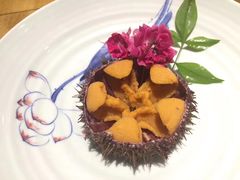 -松临·铁板烧&Omakase(神农店)