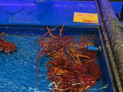 -万宝海鲜舫(劳动公园店)