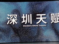 -深圳市当代艺术与城市规划馆