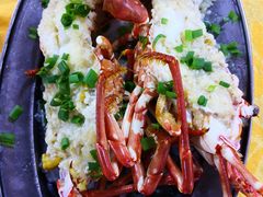 大龙虾-板桥海鲜广场(文明东店)