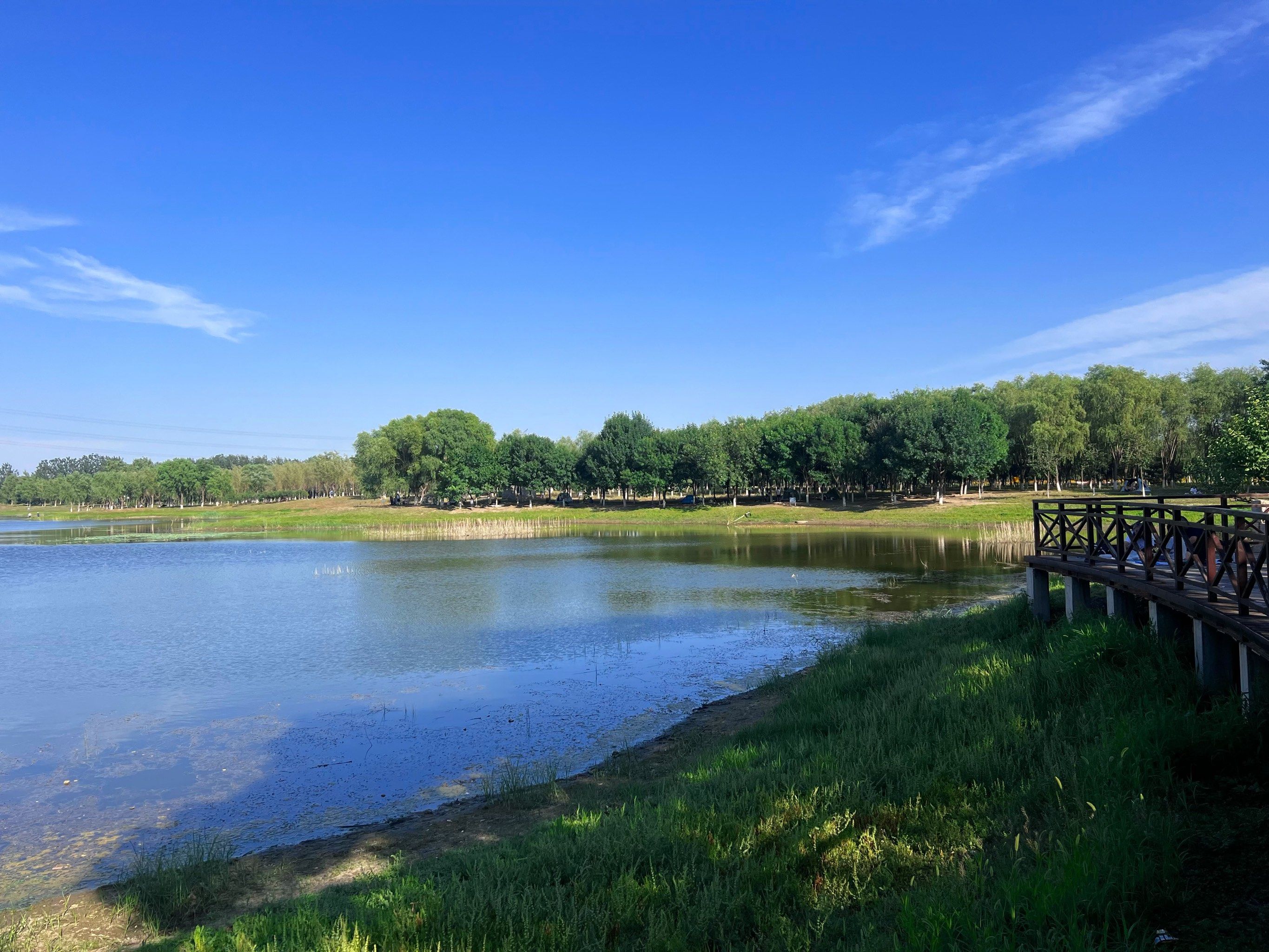 周末湖边垂钓的惬意