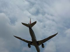 -空港花田景区