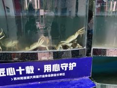 -蟹状元大闸蟹·年货·粽子(成都成华店)