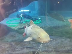 -华夏文旅海洋公园