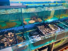 水产区-红星农贸市场(红星东路店)