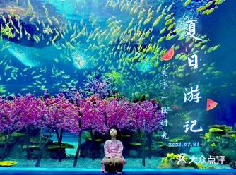 魔都夏日去哪里 | 海昌海洋公园避暑溜娃两不误