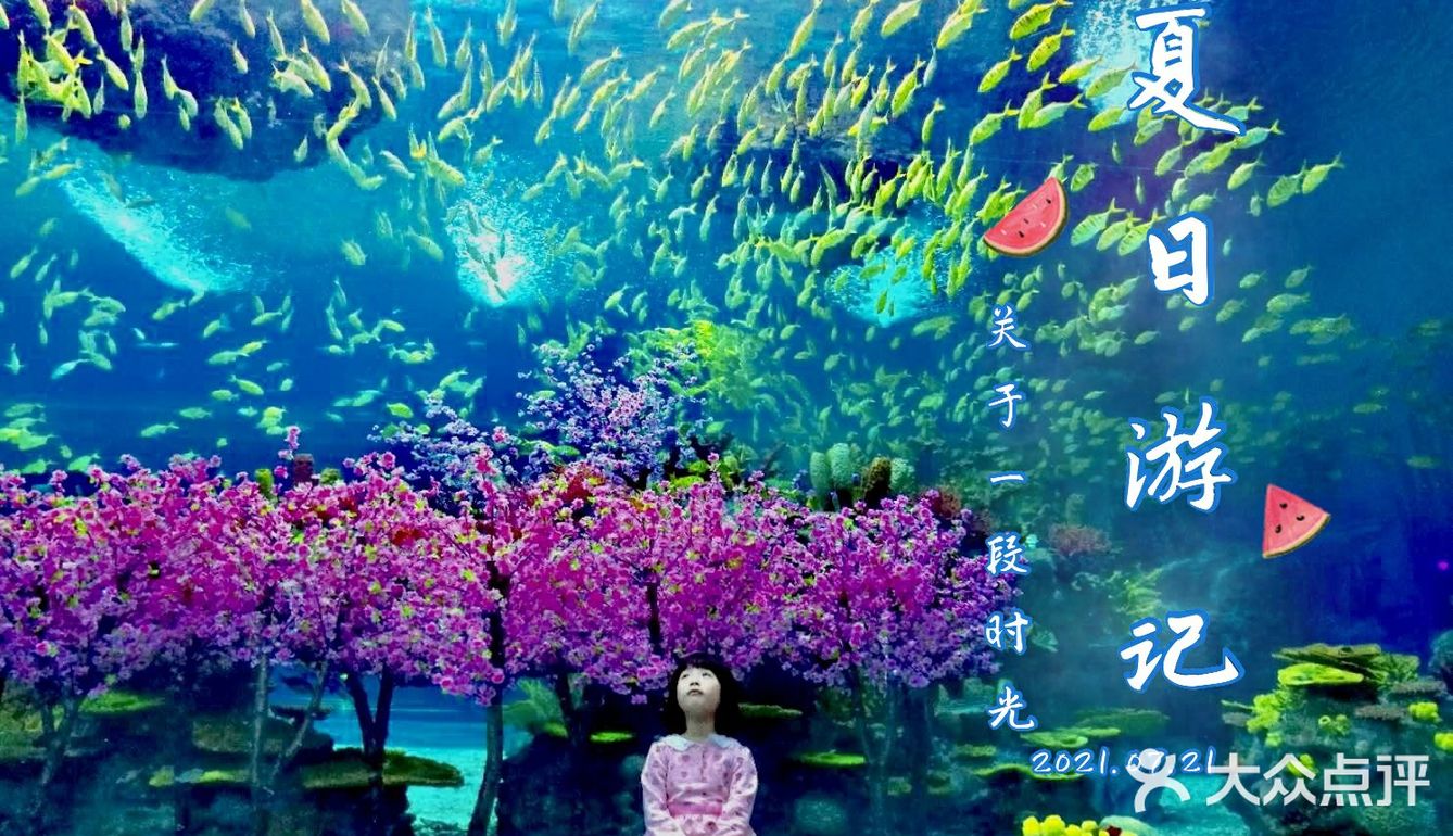 魔都夏日去哪里 | 海昌海洋公园避暑溜娃两不误