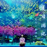 魔都夏日去哪里 | 海昌海洋公园避暑溜娃两不误