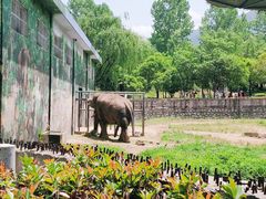 -西安秦岭野生动物园