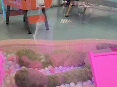 -CIAO·团建聚餐·生日派对轰趴馆(福田店)