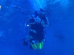 -烟台海昌鲸鲨海洋公园