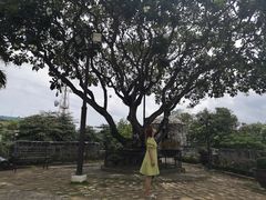 -圣佩德罗堡