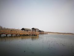 -天津东丽湖风景区