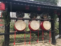 -合肥滨湖国家森林公园