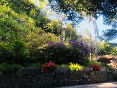 -广州市流溪河国家森林公园