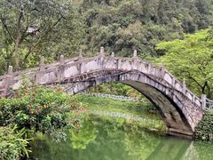 -靖西鹅泉风景区