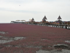 -红海滩国家风景廊道