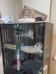 -花系美·美甲美睫精品店