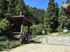 -东天目山风景区