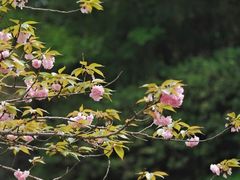 -宜兴龙背山森林公园