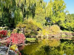 -三忘湖 SWANSEEN(柳荫公园店)