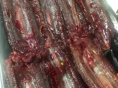 -铜元老码头鳝鱼火锅