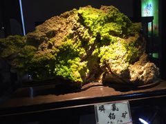 iphone_upload_pic-西安世博园