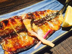 秋刀鱼味淋干-甲丁酒肆.特色烧鸟