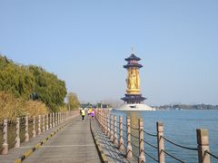 -溱湖国家湿地公园