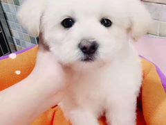 -骐奇宠物诊疗中心(南亭公路店)